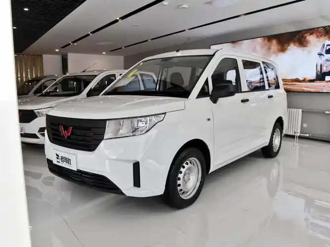 面包车油耗(价格低能赚钱)-江嘉妮-知车网