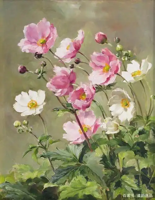 英国画家anne cotterill油画花卉作品欣赏