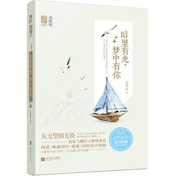 暗里有光,梦中有你【稀缺图书,放心购买】