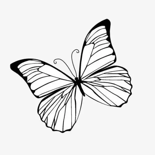 微信蝴蝶头像图片静态微信黑色伤感静态头像图片微信头像图片蝴蝶