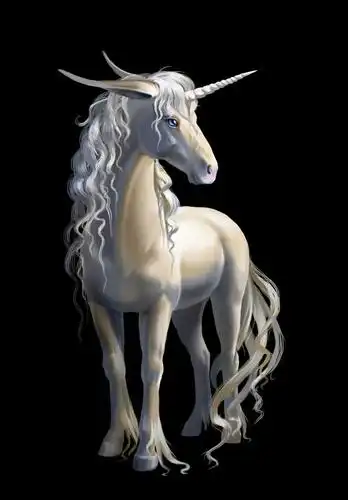 日落下的神奇的独角兽