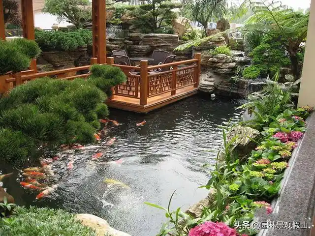 庭院鱼池养什么鱼配什么庭院假山好