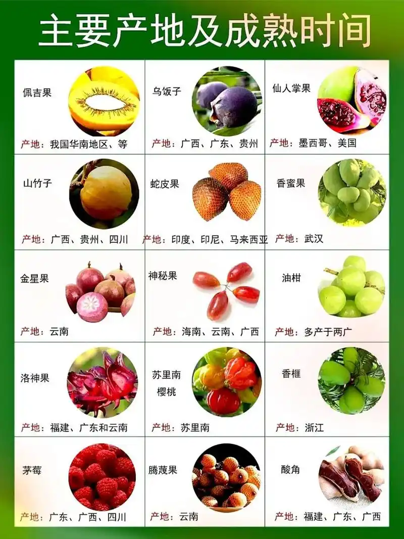 罕见水果 30种罕见水壶的,你吃过几种?