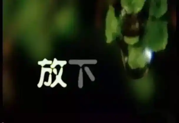 佛歌《放下》,听醉了!