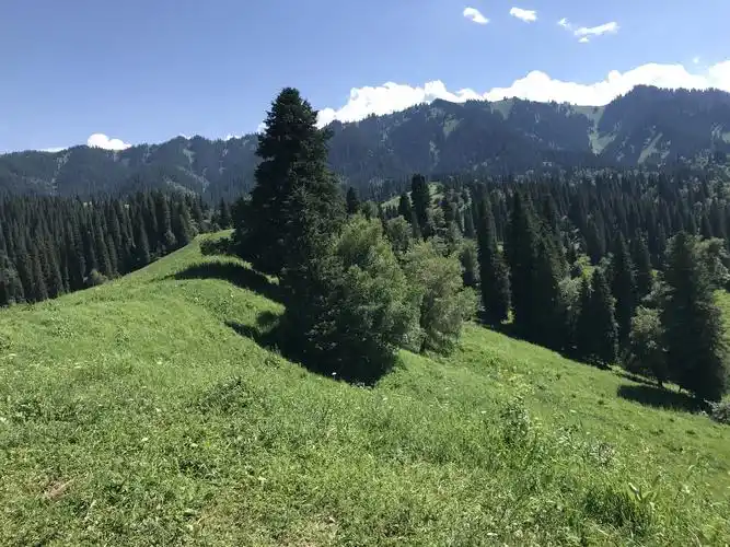 抛掉苟且,走向诗和远方(二) —新疆之那拉提大草原