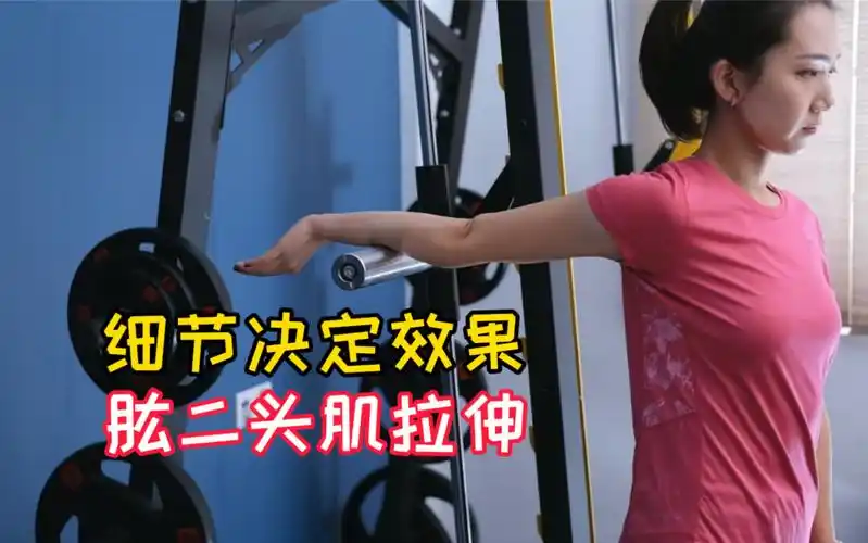 活动作品肱二头肌拉伸误区细节决定效果