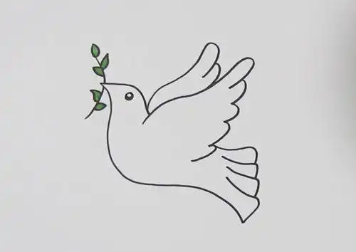 白鸽简笔画白鸽简笔画飞翔