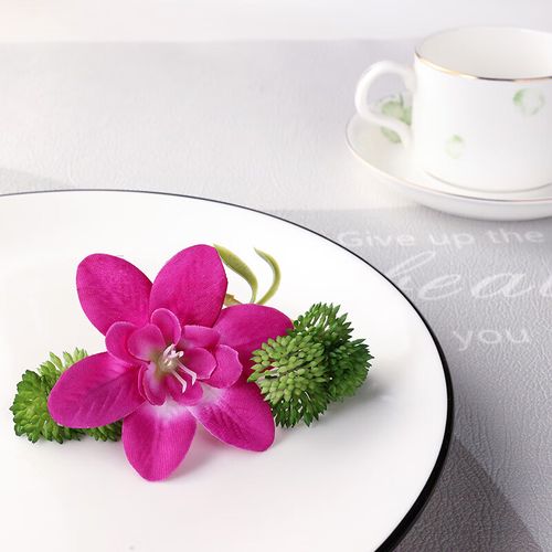 妙普乐 菜品装饰摆盘龙 酒店餐厅点缀意境盘饰仿真西兰花荷兰芹冷菜