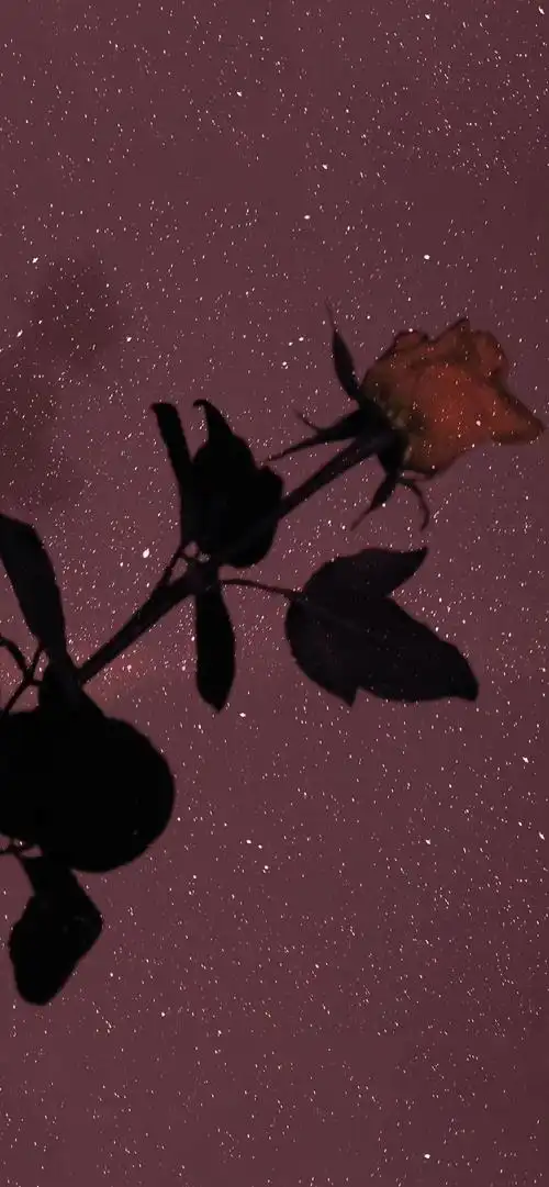 壁纸,朋友圈背景图,高清,唯美,气质