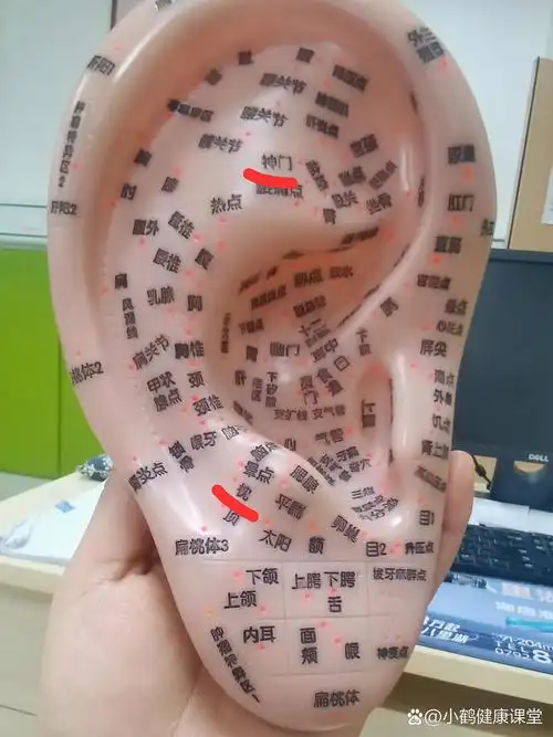 也叫反应点.当人体有问题时,往往会在耳廓的特定部位出现压痛等反应.