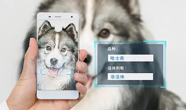 "狗咬人"事件处理结果公布!城市禁养犬只要如何管理?