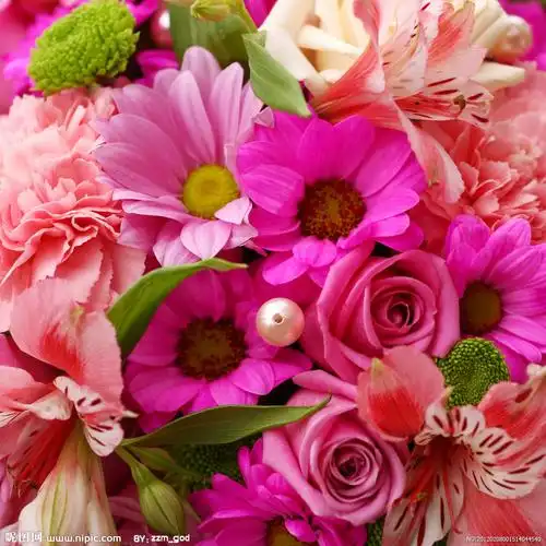 花朵摄影图__花草_生物世界_摄影图库_昵图网nipic.com