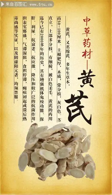 中药宣传展板黄芪简介展板