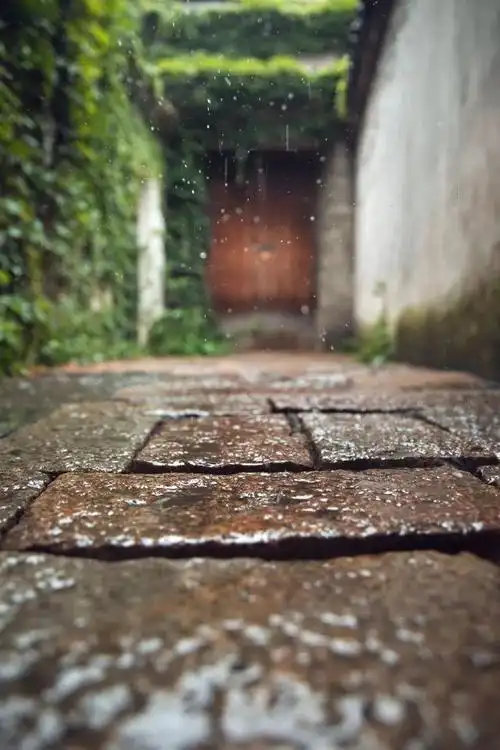 江南淅淅沥沥的春雨,是烟雨迷蒙的意境,是诗人牵挂的身影.