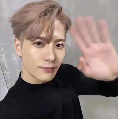 微信头像王嘉尔