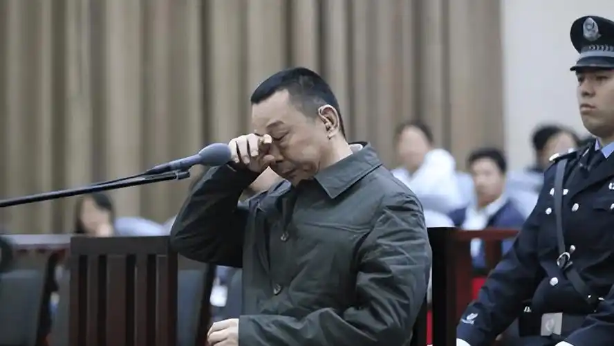 在法院的审判下,刘汉和刘维全部被执行死刑,其他的人得到了相应的惩罚