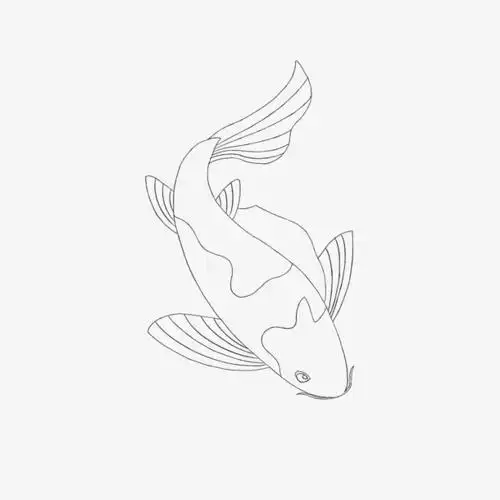 锦鲤精致线稿
