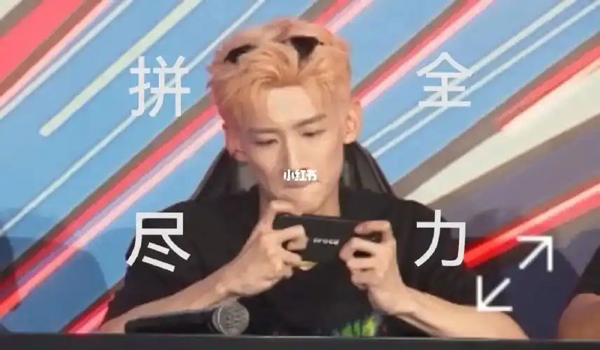 下次还敢系列白哥楠哥对不起