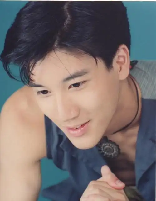 当时王力宏算是初代且绝版优质艺人了,我小时候真的觉得他超帅,有做梦