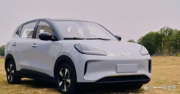 续航510km售价988万这才是纯电动车该有的样子