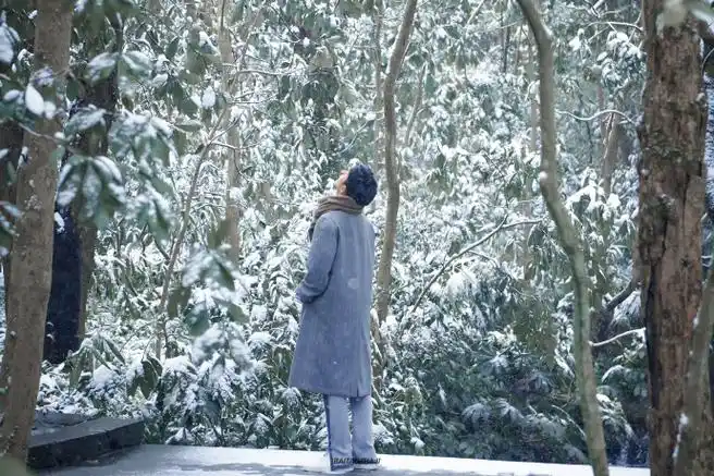 肖战冬至竹林大片##肖战