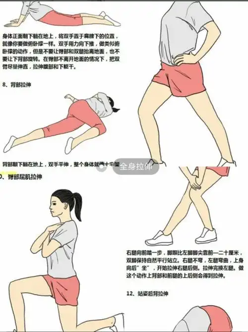 史上最全拉伸动作大合集