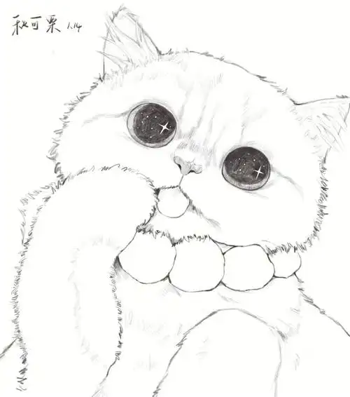 超可爱的动物速写nutdream课程