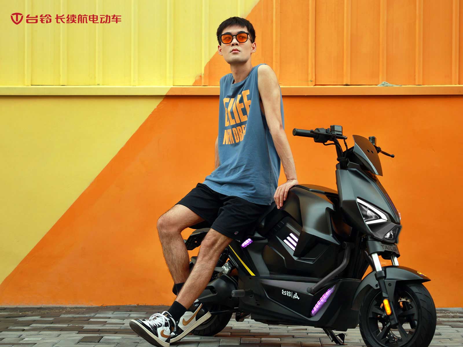 台铃长续航电动车