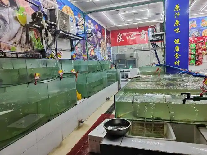 【6图】今铺网) 礼州镇临街水产店转让(3667),凉山西昌西昌周边今铺网