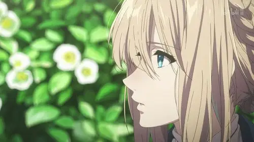 violet,紫罗兰的永恒花园今天是个结婚的好日子/《紫罗兰永恒花园》