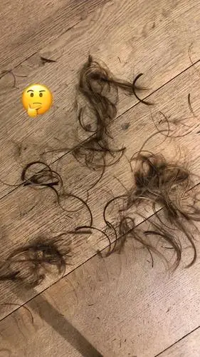 公主还是公主爹?小贝终于剪头发"吓坏"粉丝