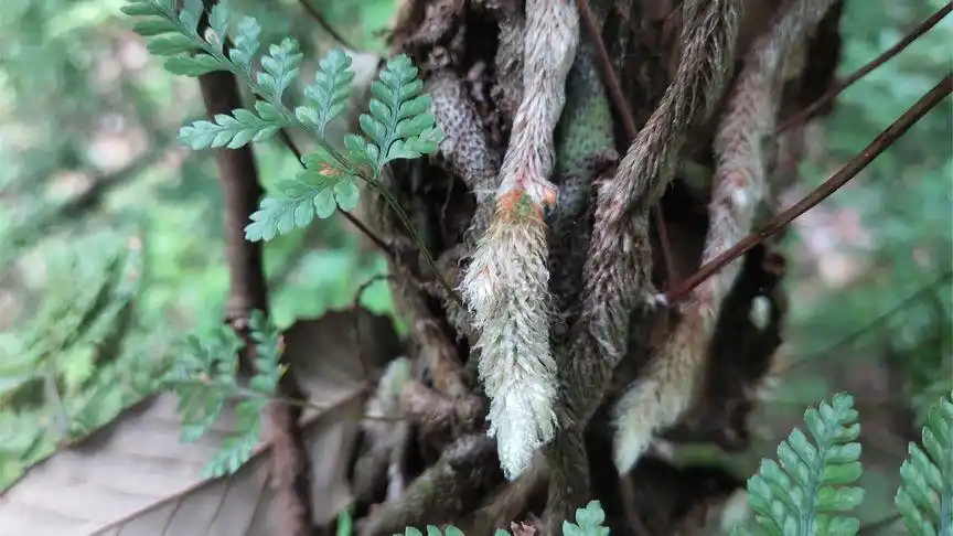 驴行山水间的个人主页 - 西瓜视频