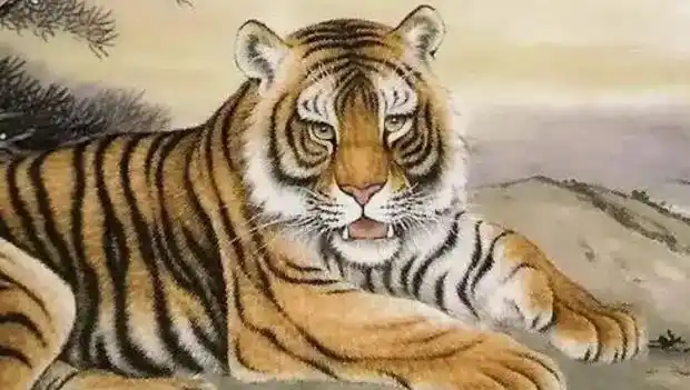 98年属虎女姻缘在狗年属虎女和属狗的人属于三位一体的关系,因此属虎