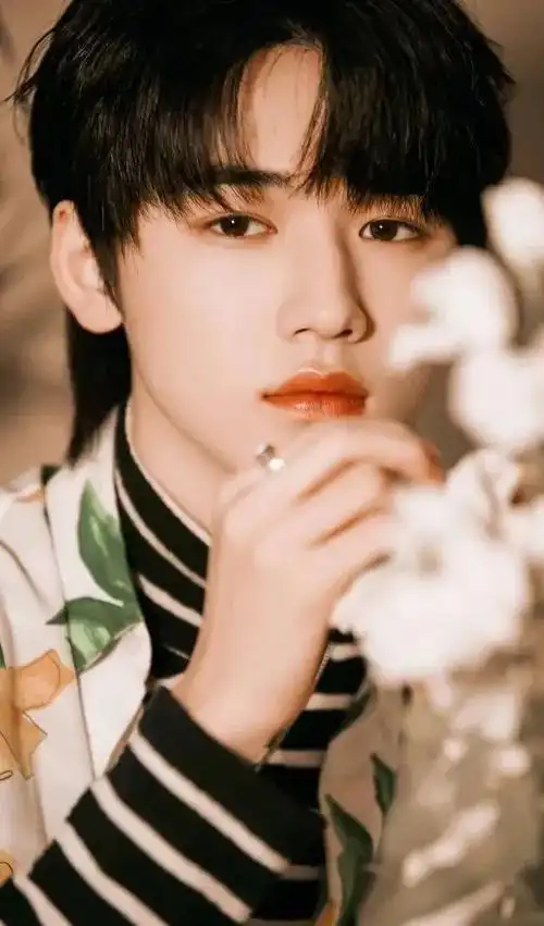 宋亚轩壁纸相知无距雁回千里书须寄