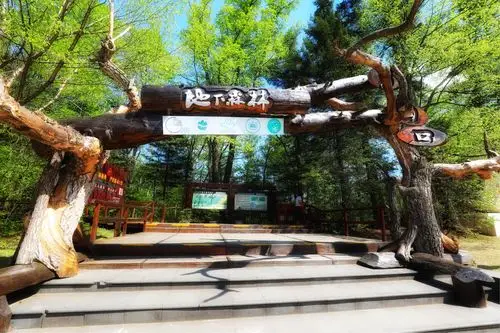 火山口地下森林