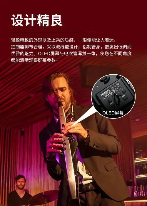 罗兰电吹管电子萨克斯电音管竖笛黑管笛子乐器定制款ae10白色耳机