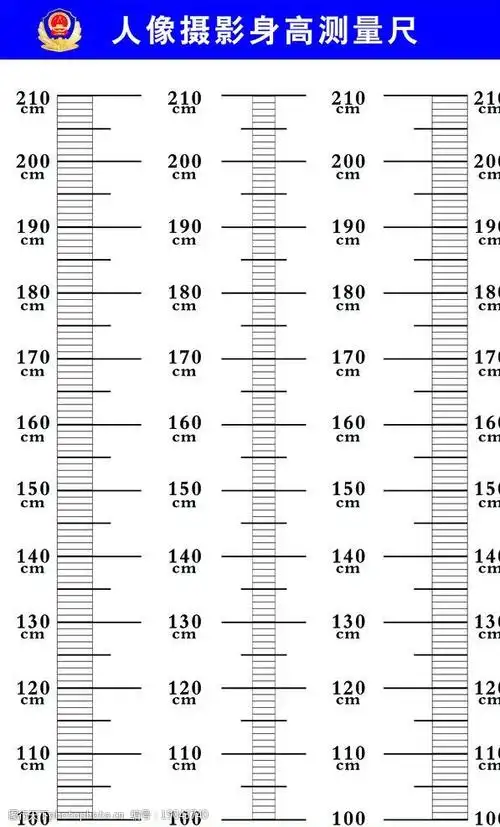 关键词:身高测量尺 公安 刑侦 警徽 照相背景 标尺 人像摄影 海报设计