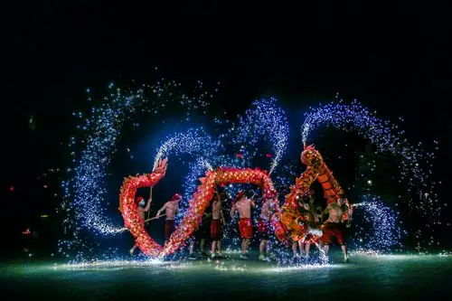 欢乐的台庄之夜之一 舞龙表演.