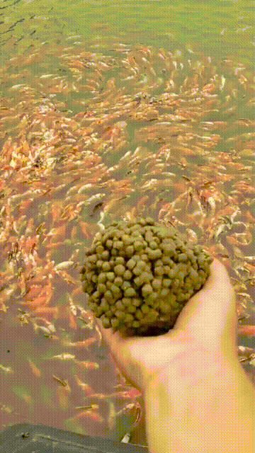 360_640竖版 竖屏gif 动态图 动图