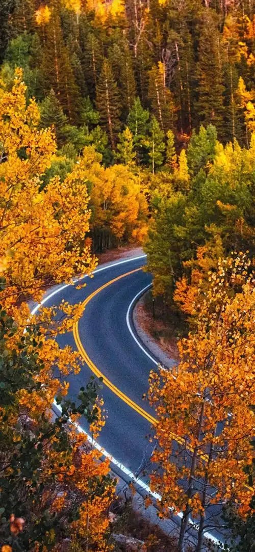 1080_2340竖版 竖屏