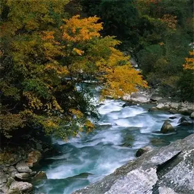 特别好看也很真实的风景头像 绿色森系微信头像比较合适的风景_风景