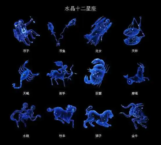 12星座专属宠物分别代表有几种,你当属于哪一种呢?