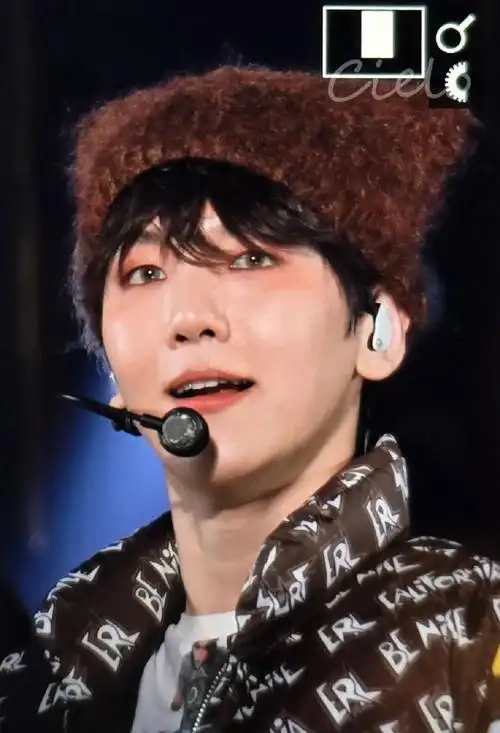 边伯贤演唱会##边伯贤