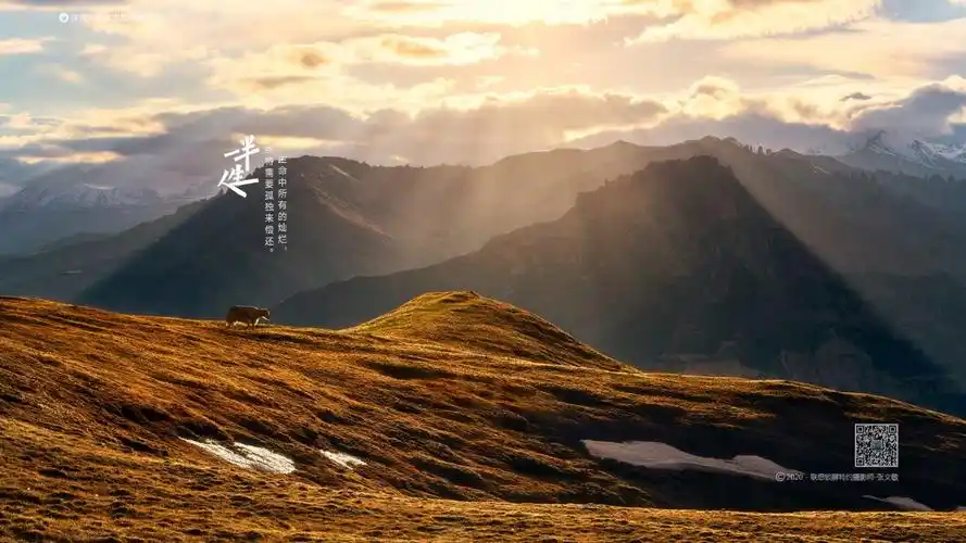 【今日高清壁纸】特约摄影师-张文敏作品_联想锁屏-联想社区