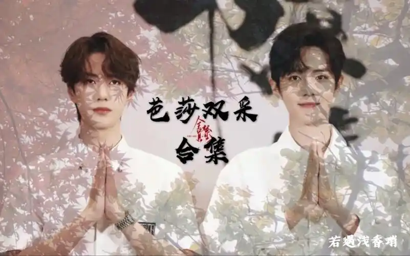 博君一肖双采合集之芭莎全采与泰国双采全