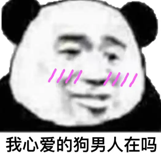 我心爱的狗男人在吗表情图片斗图表情