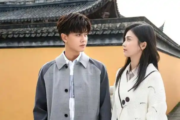 历年来最火的现代偶像剧top10你是我的荣耀上榜