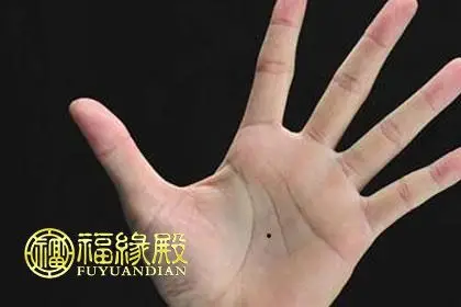 左掌心有痣代表什么