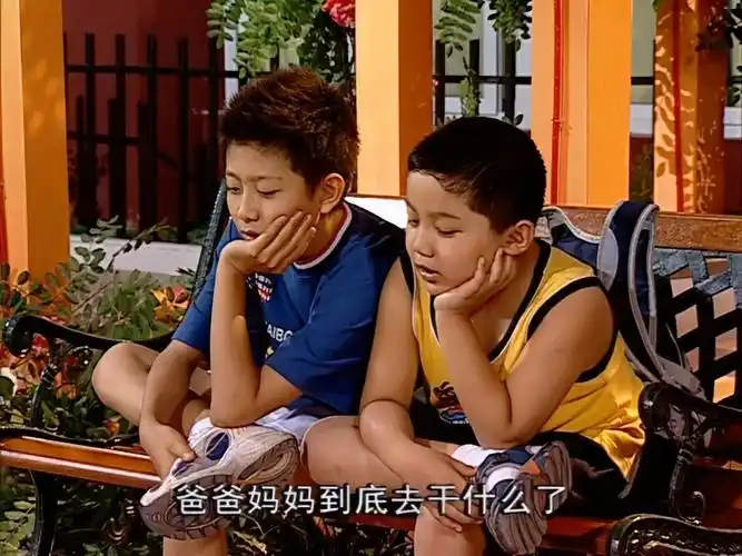 【家有儿女 第一部】14-4 添个大件