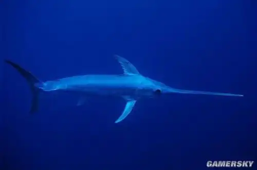 秒杀你没商量海洋陆地上战斗力爆表的动物